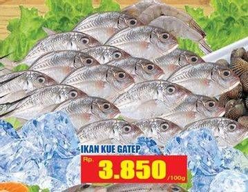 Promo Harga Ikan Kue Gatep per 100 gr - Hari Hari