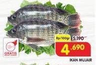 Promo Harga Ikan Mujair per 100 gr - Superindo