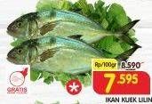 Promo Harga Ikan Kuek Lilin per 100 gr - Superindo