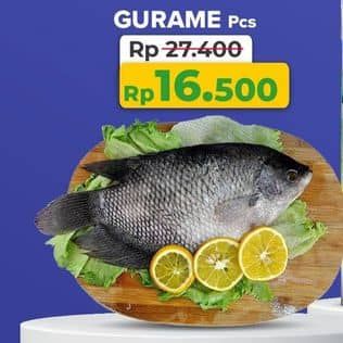 Promo Harga Ikan Gurame  - Yogya