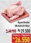 Promo Harga Ayam Broiler 800 gr - Hypermart