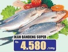 Promo Harga Ikan Bandeng Super per 100 gr - Hari Hari