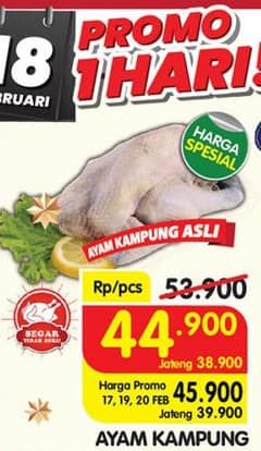 Promo Harga Ayam Kampung 500 gr - Superindo