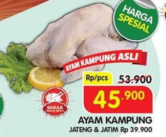 Promo Harga Ayam Kampung 500 gr - Superindo