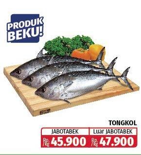 Promo Harga Ikan Tongkol  - Lotte Grosir