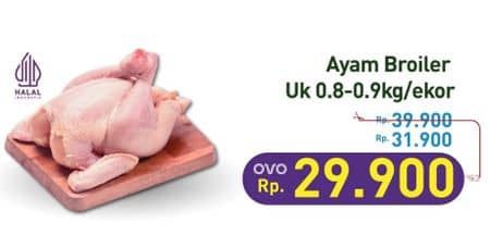 Promo Harga Ayam Broiler 800 gr - Hypermart