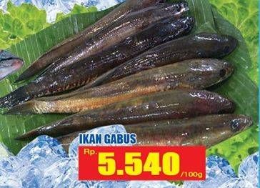 Promo Harga Ikan Gabus per 100 gr - Hari Hari