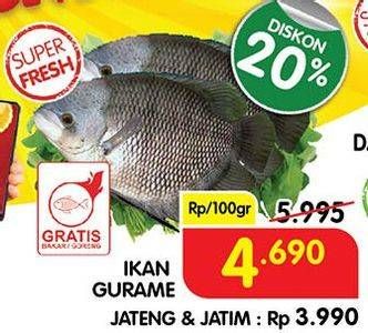 Promo Harga Ikan Gurame per 100 gr - Superindo