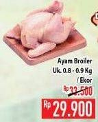 Promo Harga Ayam Broiler 800 gr - Hypermart