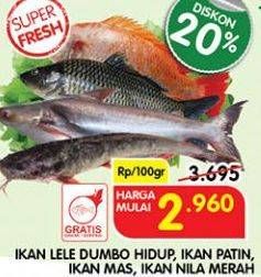 Promo Harga Ikan Lele Dumbo Hidup, Ikan Patin, Ikan Mas, Ikan Nila Merah  - Superindo