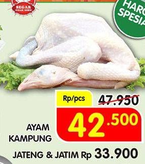 Promo Harga Ayam Kampung  - Superindo