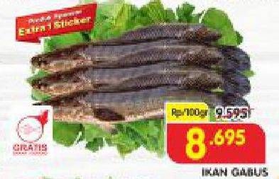 Promo Harga Ikan Gabus per 100 gr - Superindo