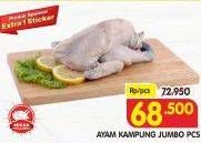 Promo Harga Ayam Kampung Jumbo  - Superindo