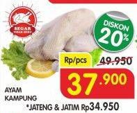 Promo Harga Ayam Kampung  - Superindo