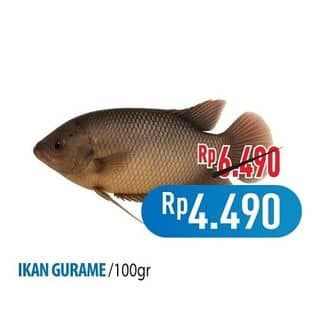 Promo Harga Ikan Gurame per 100 gr - Hypermart