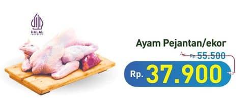 Promo Harga Ayam Pejantan 500 gr - Hypermart