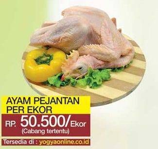 Promo Harga Ayam Pejantan  - Yogya