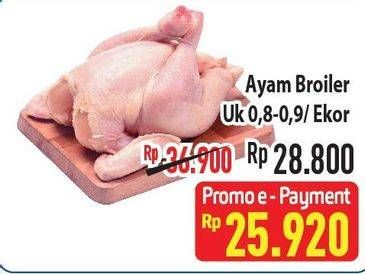 Promo Harga Ayam Broiler Ekor  - Hypermart