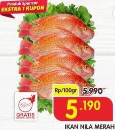 Promo Harga Ikan Nila Merah per 100 gr - Superindo