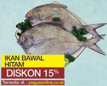 Promo Harga Ikan Bawal Hitam  - Yogya