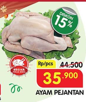 Ayam Pejantan