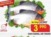 Promo Harga Ikan Bawal Tawar per 100 gr - Superindo