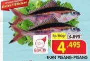 Promo Harga Ikan Pisang Pisang per 100 gr - Superindo