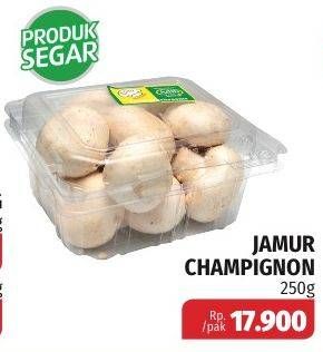 Promo Harga Jamur Champignon (Jamur Kancing) per 250 gr - Lotte Grosir