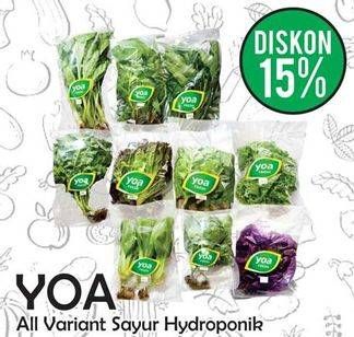 Promo Harga YOA Sayuran Segar Hydroponik  - Yogya