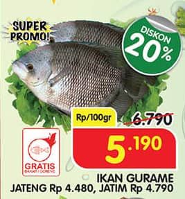 Promo Harga Ikan Gurame per 100 gr - Superindo