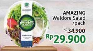 Promo Harga AMAZING FARM Salad  - Alfamidi