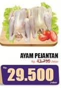 Promo Harga Ayam Pejantan 700 gr - Hari Hari