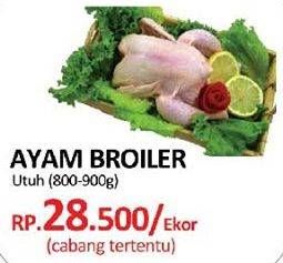 Promo Harga Ayam Broiler  - Yogya