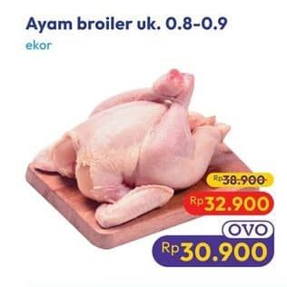 Promo Harga Ayam Broiler 800 gr - Hypermart