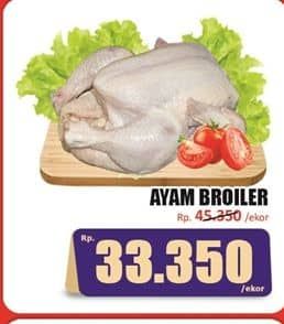 Ayam Broiler