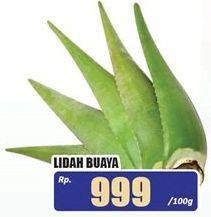 Promo Harga Lidah Buaya per 100 gr - Hari Hari