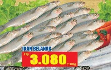 Promo Harga Ikan Belanak per 100 gr - Hari Hari