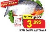 Promo Harga Ikan Bawal Tawar per 100 gr - Superindo