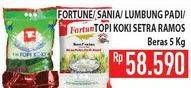 Promo Harga Fortune Beras Premium 5 kg - Hypermart