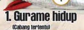 Promo Harga Ikan Gurame Hidup per 100 gr - Yogya