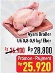 Promo Harga Ayam Broiler Ekor  - Hypermart