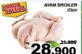 Promo Harga Ayam Broiler  - Giant