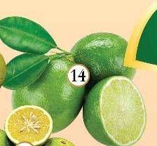 Promo Harga Jeruk Lemon Lokal  - Yogya