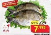 Promo Harga Ikan Baronang per 100 gr - Superindo