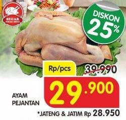 Promo Harga Ayam Pejantan  - Superindo