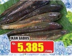 Promo Harga Ikan Gabus per 100 gr - Hari Hari