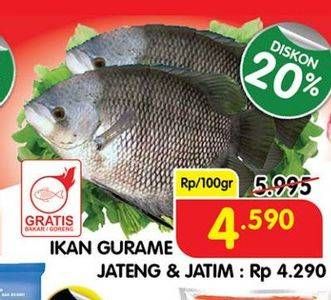 Promo Harga Ikan Gurame per 100 gr - Superindo