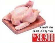 Promo Harga Ayam Broiler  - Hypermart