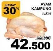 Promo Harga Ayam Kampung  - Giant