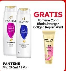 Promo Harga Pantene Shampoo All Variants 290 ml - Alfamart